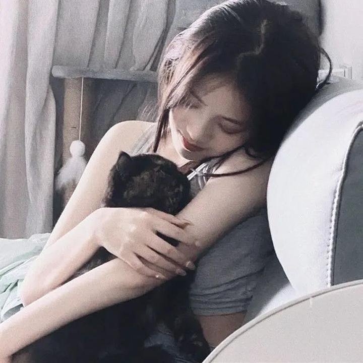 犬杀 封面