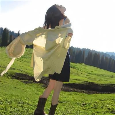意境求生 封面